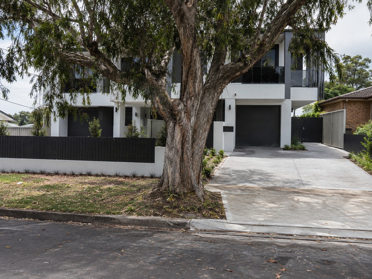 Mature street tree in front of a newly completed rendered duplex with a wide driveway crossover
