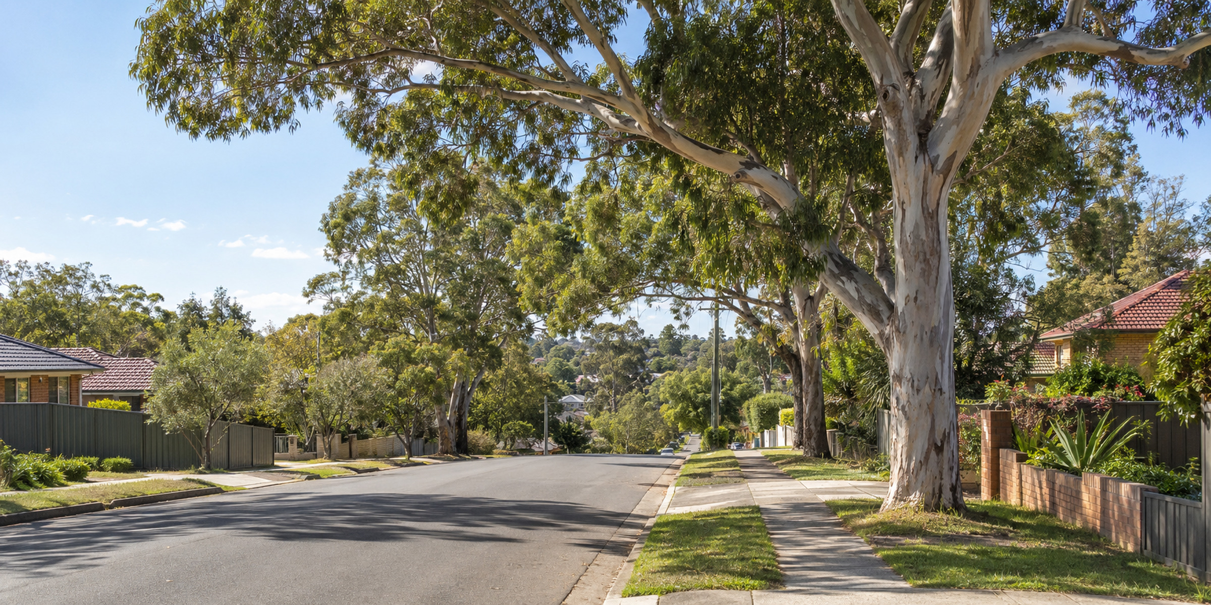 Mature eucalypt canopy over a Canterbury-Bankstown residential street